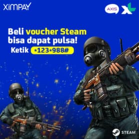 STEAM New Year Gift 